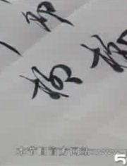 教写字的视频,轻松掌握汉字书写技巧