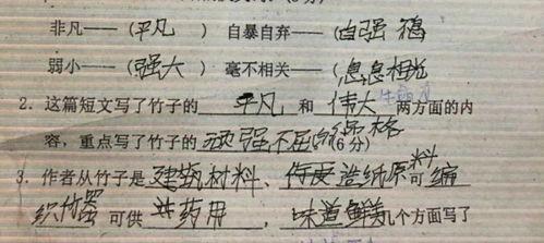 教写字的视频,轻松掌握汉字书写技巧