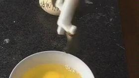 打鸡蛋视频,轻松掌握的厨房小妙招