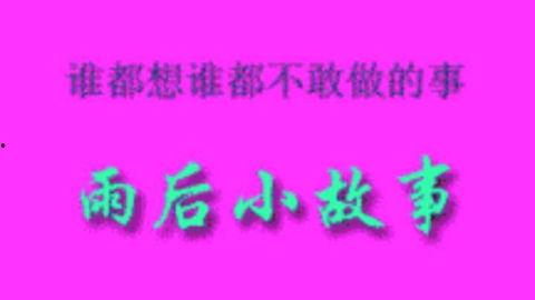 雨后小故事视频,一段温馨的邂逅与成长之旅