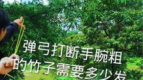 弹弓教学视频,跟随教学视频轻松掌握弹射技巧