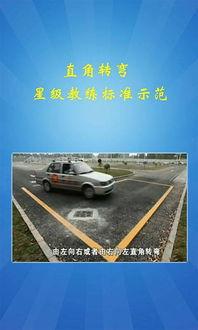 驾校考试视频,掌握技巧，轻松通关