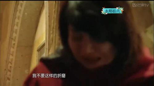 性x视频,揭秘成人娱乐的虚拟世界