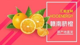 赣南脐橙视频,金黄果香，致富果王之旅