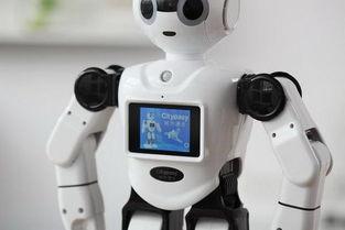 智能机器人视频,未来生活新伙伴的精彩瞬间