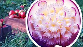 水果雕刻视频,跟随视频教程，轻松掌握精湛技艺