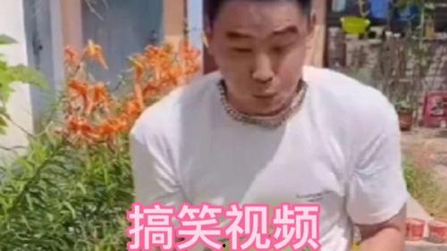 东北搞笑视频大全,笑料横生，欢乐无限