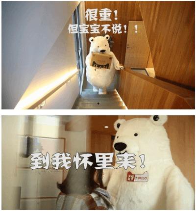 抱抱熊视频,抱抱熊视频传递爱与温暖