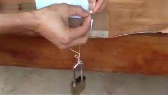 老鼠夹子怎么用视频,轻松捕捉害鼠攻略