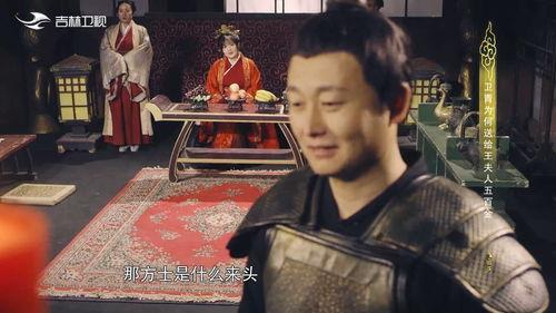 卫青视频,西汉名将的辉煌一生与军事传奇