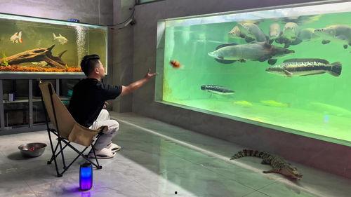 养鱼的视频,揭秘养鱼视频中的养殖奥秘