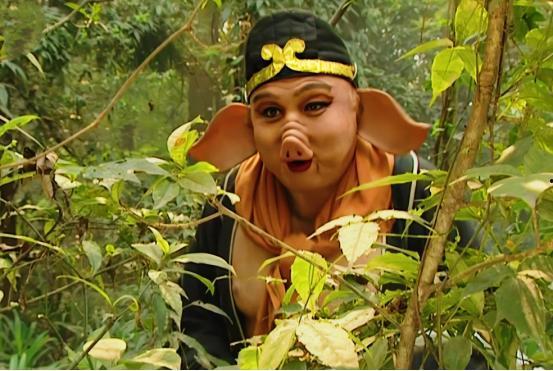 猪八戒视频,奇幻冒险之旅，探寻取经背后的故事