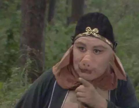 猪八戒视频,奇幻冒险之旅，探寻取经背后的故事