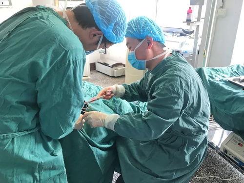 肛门手术视频,专业视角下的手术细节与恢复要点