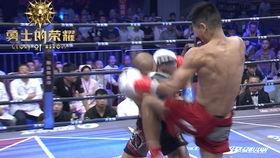 搏击视频比赛视频,搏击视频比赛精彩瞬间回顾