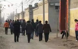 农村拜年视频,欢声笑语迎新春，传统习俗焕新颜