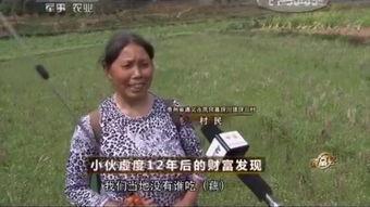 致富经 视频,揭秘成功创业者的财富密码