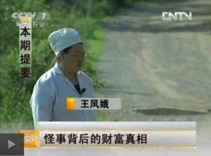 致富经 视频,揭秘成功创业者的财富密码