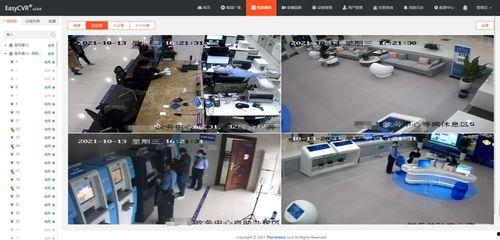 监控视频直播,捕捉瞬间，见证历史
