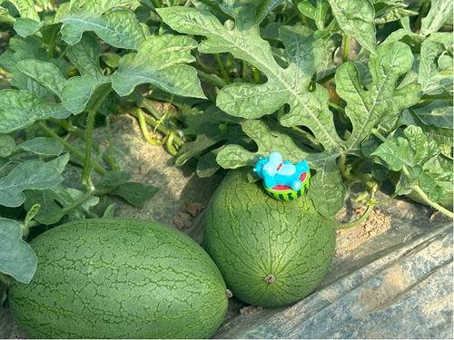 今日吃瓜新瓜,揭秘娱乐圈最新热点事件