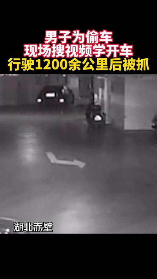 学开车视频,学开车视频精华解析