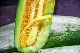 2023网红吃瓜爆料