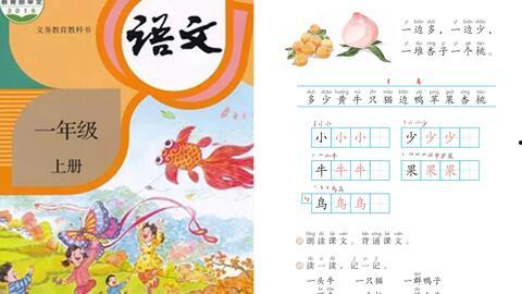 一年级语文视频