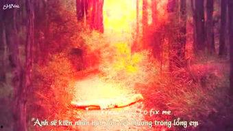 rosi 视频,揭秘科技与艺术的完美融合