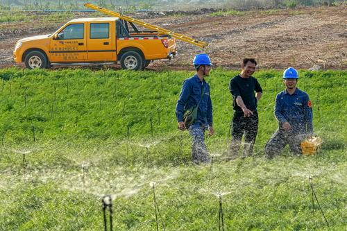 rosi 视频,揭秘科技与艺术的完美融合