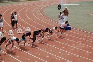 短跑比赛视频,短跑赛场上的速度与激情瞬间