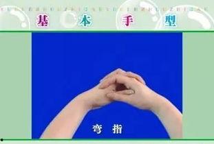 手指操 视频