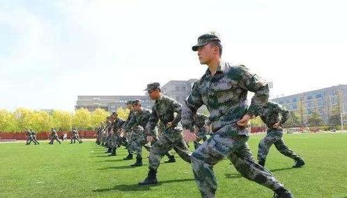 军体拳第一套16式视频