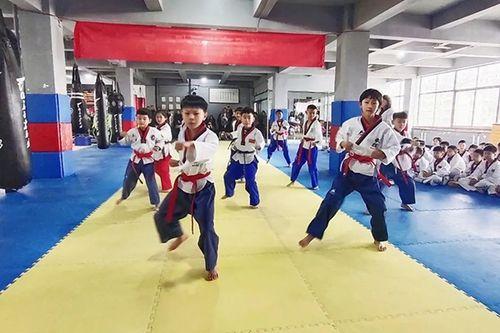 跆拳道竞技视频,精彩瞬间回顾