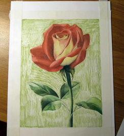 彩铅画教程视频,轻松掌握彩铅绘画技巧