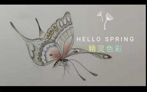 彩铅画教程视频,轻松掌握彩铅绘画技巧