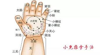 中医按摩手法视频,轻松掌握养生保健秘籍