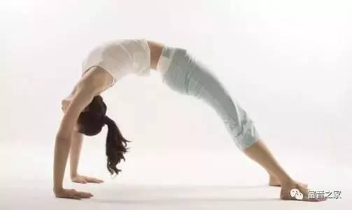 哈他瑜伽视频,轻松入门，身心和谐之旅