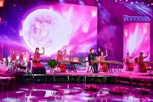 盛世国乐古筝视频,探寻古筝艺术的千年传承