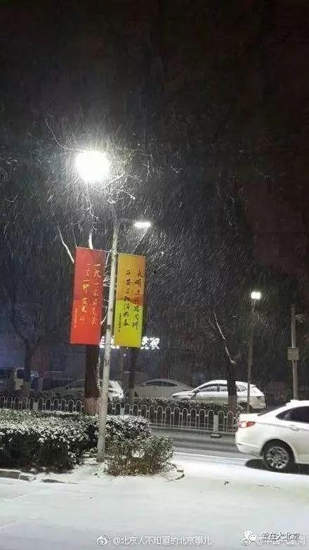 北京下雪视频,银装素裹的冬日美景