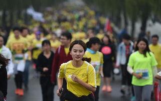 马拉松直播视频,全程回顾与亮点解析